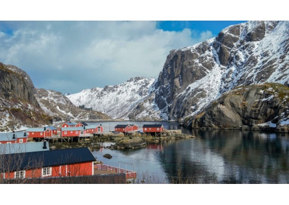 Where does your Marine collagen come from?